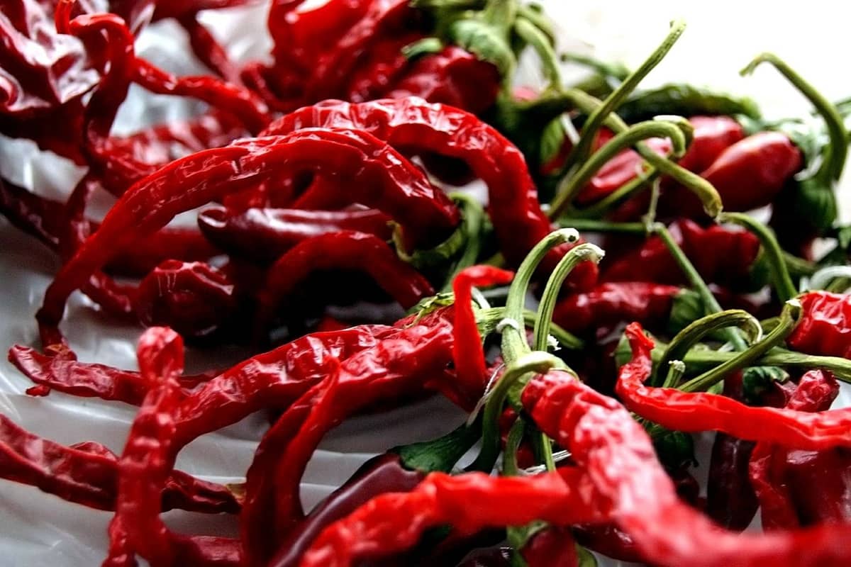 Chilis