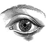 Eye Image