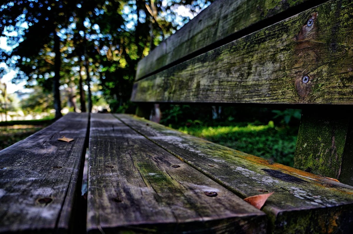 Easement