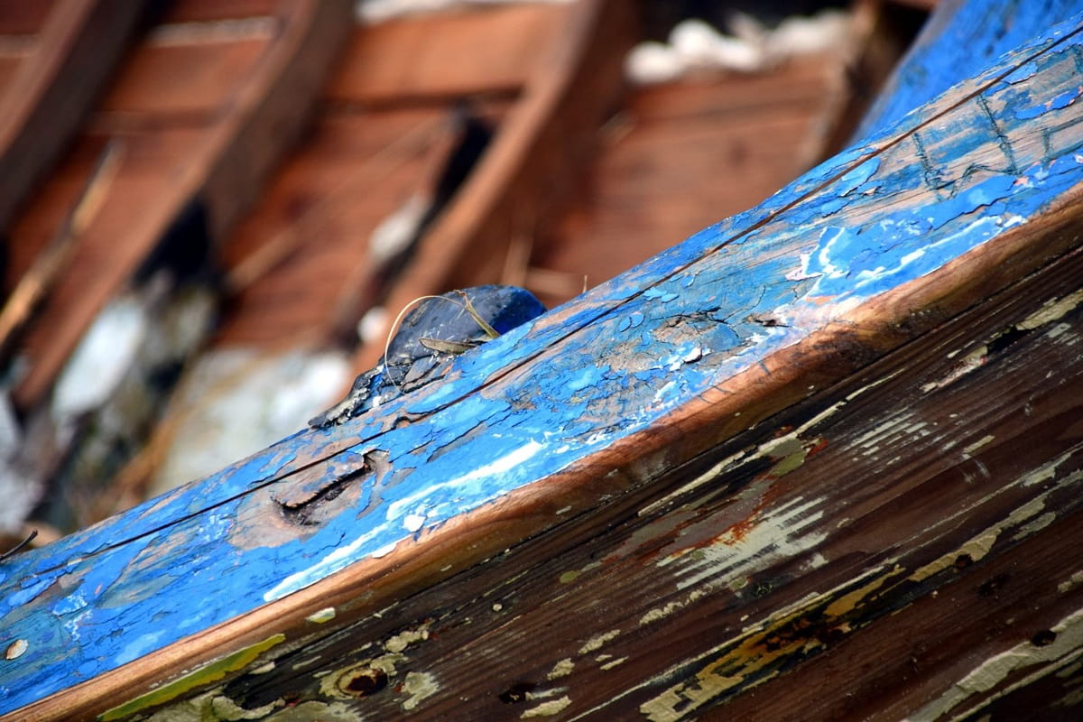 Wood Rot