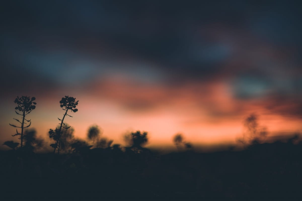 A blurred sunset over Charleston, South Carolina